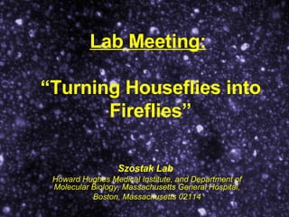 Lab Meeting:   “Turning Houseflies into Fireflies” Szostak Lab   Howard Hughes Medical Institute, and Department of Molecular Biology, Massachusetts General Hospital, Boston, Massachusetts 02114 