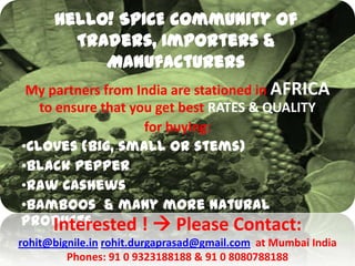 Hello! SPICE community of
        Traders, Importers &
           Manufacturers
 My partners from India are stationed in AFRICA
   to ensure that you get best RATES & QUALITY
                    for buying:
•Cloves (Big, small or stems)
•Black Pepper
•Raw Cashews
•Bamboos & many more natural
products
     Interested !  Please Contact:
rohit@bignile.in rohit.durgaprasad@gmail.com at Mumbai India
         Phones: 91 0 9323188188 & 91 0 8080788188
 