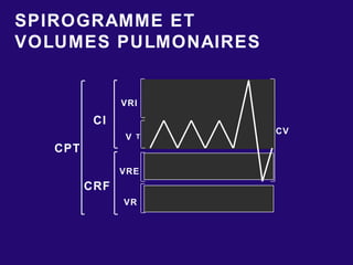 V T
VRI
VRE
CV
VR
CPT
CI
CRF
SPIROGRAMME ET
VOLUMES PULMONAIRES
 