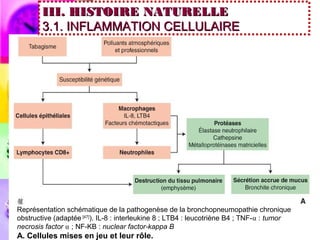III. HISTOIRE NATURELLE
        3.1. INFLAMMATION CELLULAIRE




Représentation schématique de la pathogenèse de la bronchopneumopathie chronique
obstructive (adaptée [47]). IL-8 : interleukine 8 ; LTB4 : leucotriène B4 ; TNF-⍺ : tumor
necrosis factor ⍺ ; NF-KB : nuclear factor-kappa B
A. Cellules mises en jeu et leur rôle.
 