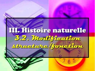 III. Histoire naturelle
  3.2. Modification
 structure/fonction
 