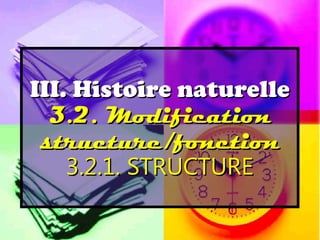 III. Histoire naturelle
  3.2. Modification
 structure/fonction
    3.2.1. STRUCTURE
 