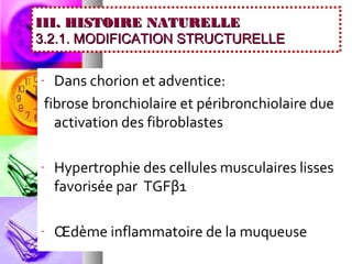 III. HISTOIRE NATURELLE
3.2.1. MODIFICATION STRUCTURELLE

-  Dans chorion et adventice:
 fibrose bronchiolaire et péribronchiolaire due
   activation des fibroblastes

-   Hypertrophie des cellules musculaires lisses
    favorisée par TGFβ1

-   Œdème inflammatoire de la muqueuse
 
