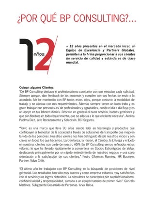 BP Consulting Brochure | PDF