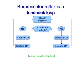 Baroreceptor reflex is a
feedback loop
“Read”
pressure
Is pressure
too high?
Two way negative feedback
Yes
Increase CO
Increase TPR
No
Reduce CO
Reduce TPR
 