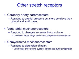 Other stretch receptors
• Coronary artery baroreceptors
– Respond to arterial pressure but more sensitive than
carotid and aortic ones
• Veno-atrial mechanoreceptors
– Respond to changes in central blood volume
• Lie down, lift your legs and cause peripheral vasodilatation
• Unmyelinated mechanoreceptors
– Respond to distension of heart
• Ventricular ones during systole; atrial ones during inspiration
 