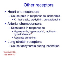 Other receptors
• Heart chemosensors
– Cause pain in response to ischaemia
• K+, lactic acid, bradykinin, prostaglandins
• Arterial chemosensors
– Stimulated in response to
• Hypoxaemia, hypercapnia*, acidosis,
hyperkalaemia**
• Regulate breathing
• Lung stretch receptors
– Cause tachycardia during inspiration
*too much CO2
**too much K+
 