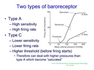 Two types of baroreceptor
• Type A
– High sensitivity
– High firing rate
• Type C
– Lower sensitivity
– Lower firing rate
– Higher threshold (before firing starts)
• Therefore can deal with higher pressures than
type A which become “saturated”
From “An Introduction to Cardiovascular Physiology”
J.R. Levick
 