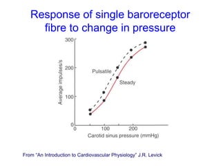 Response of single baroreceptor
fibre to change in pressure
From “An Introduction to Cardiovascular Physiology” J.R. Levick
 
