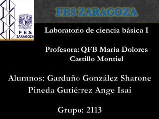 Laboratorio de ciencia básica I

Profesora: QFB María Dolores
       Castillo Montiel
 
