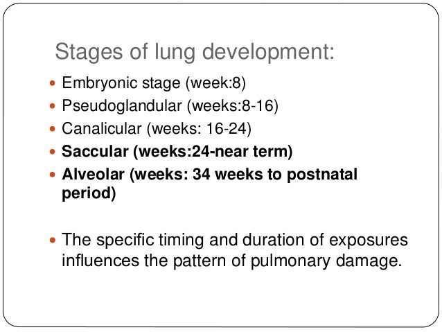 Stages of lung development:
ï Embryonic stage (week:8)
ï Pseudoglandular (weeks:8-16)
ï Canalicular (weeks: 16-24)
ï Saccu...