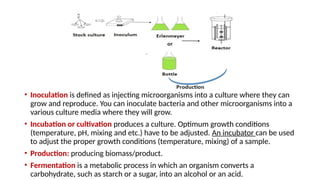 Bioprocessengineeringlectureforengineering | PPTX