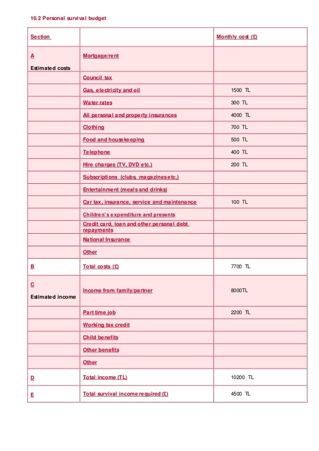 Bp electronic business plan workbook image
