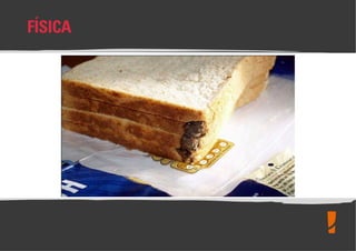 Boas Práticas de Fabricação