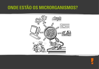 Boas Práticas de Fabricação