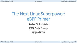 SRECon Europe 2016 @goldshtn https://s.sashag.net/bpf07
SRECon Europe 2016 @goldshtn https://s.sashag.net/bpf07
The Next Linux Superpower:
eBPF Primer
Sasha Goldshtein
CTO, Sela Group
@goldshtn
 