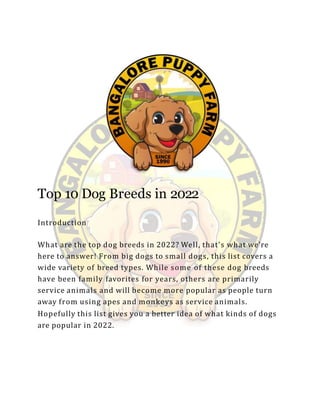 Top 10 Dog Breeds in 2022
Introduction
What are the top dog breeds in 2022? Well, that's what we're
here to answer! From big dogs to small dogs, this list covers a
wide variety of breed types. While some of these dog breeds
have been family favorites for years, others are primarily
service animals and will become more popular as people turn
away from using apes and monkeys as service animals.
Hopefully this list gives you a better idea of what kinds of dogs
are popular in 2022.
 