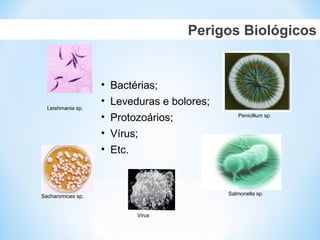 Perigos Biológicos
• Bactérias;
• Leveduras e bolores;
• Protozoários;
• Vírus;
• Etc.
Leishmania sp.
Salmonella sp.
Penicillum sp.
Sacharomices sp.
Virus
 