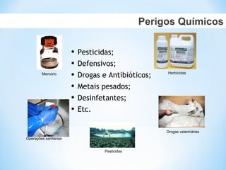 Perigos Químicos
• Pesticidas;
• Defensivos;
• Drogas e Antibióticos;
• Metais pesados;
• Desinfetantes;
• Etc.
Mercúrio
Pesticidas
Herbicidas
Drogas veterinárias
Operações sanitárias
 
