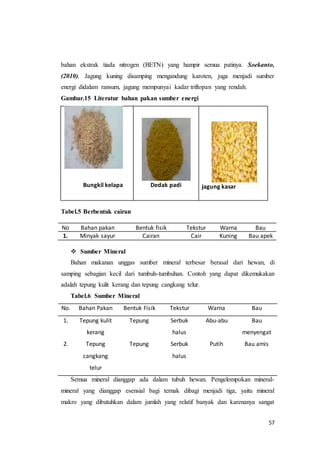 57
bahan ekstrak tiada nitrogen (BETN) yang hampir semua patinya. Soekanto,
(2010), Jagung kuning disamping mengandung karoten, juga menjadi sumber
energi didalam ransum, jagung mempunyai kadar triftopan yang rendah.
Gambar.15 Literatur bahan pakan sumber energi
Bungkil kelapa Dedak padi jagung kasar
Tabel.5 Berbentuk cairan
No Bahan pakan Bentuk fisik Tekstur Warna Bau
1. Minyak sayur Cairan Cair Kuning Bau apek
 Sumber Mineral
Bahan makanan unggas sumber mineral terbesar berasal dari hewan, di
samping sebagian kecil dari tumbuh-tumbuhan. Contoh yang dapat dikemukakan
adalah tepung kulit kerang dan tepung cangkang telur.
Tabel.6 Sumber Mineral
No. Bahan Pakan Bentuk Fisik Tekstur Warna Bau
1. Tepung kulit
kerang
Tepung Serbuk
halus
Abu-abu Bau
menyengat
2. Tepung
cangkang
telur
Tepung Serbuk
halus
Putih Bau amis
Semua mineral dianggap ada dalam tubuh hewan. Pengelompokan mineral-
mineral yang dianggap esensial bagi ternak dibagi menjadi tiga, yaitu mineral
makro yang dibutuhkan dalam jumlah yang relatif banyak dan karenanya sangat
 