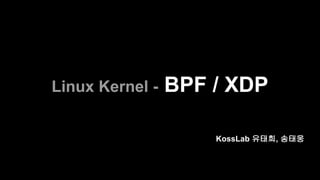 Linux Kernel - BPF / XDP
KossLab 유태희, 송태웅
 