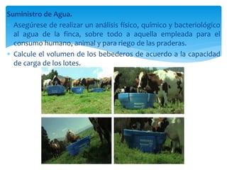 Suministro de Agua.
 Asegúrese de realizar un análisis físico, químico y bacteriológico
al agua de la finca, sobre todo a aquella empleada para el
consumo humano, animal y para riego de las praderas.
 Calcule el volumen de los bebederos de acuerdo a la capacidad
de carga de los lotes.
 