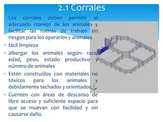  Los corrales deben permitir el
adecuado manejo de los animales y
facilitar las rutinas de trabajo sin
riesgos para los operarios y animales
 fácil limpieza
 albergar los animales según: raza,
edad, peso, estado productivo y
número de animales
 Estén construidos con materiales no
tóxicos para los animales y
debidamente techados y orientados
 Cuenten con áreas de descanso de
libre acceso y suficiente espacio para
que se muevan con facilidad y sin
causarse daño.
2.1 Corrales
 