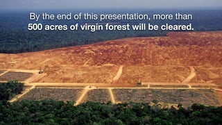By the end of this presentation, more than
500 acres of virgin forest will be cleared.
 