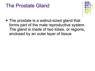 The Prostate Gland <ul><li>The prostate is a walnut-sized gland that forms part of the male reproductive system. The gland...
