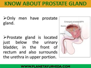 Only men have prostate
gland.

Prostate gland is located
just below the urinary
bladder, in the front of
rectum and also surrounds
the urethra in upper portion.
www.Planetayurveda.com
WWW.PLANETAYURVEDA.COM

 