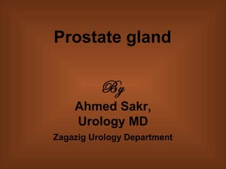 Prostate gland
Ahmed Sakr,
Urology MD
By
Zagazig Urology Department
 
