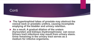 bioph-1610141222233333333333333342719.pdf