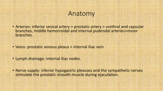 Anatomy
• Arteries: inferior vesical artery > prostatic artery > urethral and capsular
branches, middle hemorroidal and internal pudendal arteries>minor
branches.
• Veins: prostatic venous plexus > internal iliac vein
• Lymph drainage: internal iliac nodes.
• Nerve supply: inferior hypogastric plexuses and the sympathetic nerves
stimulate the prostatic smooth muscle during ejaculation.
 