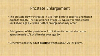 Prostate Enlargement
• The prostate slowly increases in size from birth to puberty, and then it
expands rapidly. The size attained by age 30 typically remains stable
until about age 45, when further enlargement may occur.
• Enlargement of the prostate to 2 to 4 times its normal size occurs
approximately 1/3 of all males over age 60.
• Generally a healthy adult prostate weighs about 20–25 grams.
 