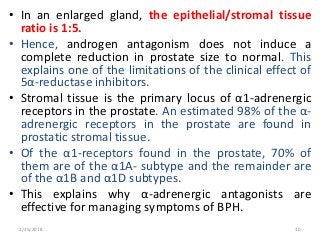 • In an enlarged gland, the epithelial/stromal tissue
ratio is 1:5.
• Hence, androgen antagonism does not induce a
complete reduction in prostate size to normal. This
explains one of the limitations of the clinical effect of
5α-reductase inhibitors.
• Stromal tissue is the primary locus of α1-adrenergic
receptors in the prostate. An estimated 98% of the α-
adrenergic receptors in the prostate are found in
prostatic stromal tissue.
• Of the α1-receptors found in the prostate, 70% of
them are of the α1A- subtype and the remainder are
of the α1B and α1D subtypes.
• This explains why α-adrenergic antagonists are
effective for managing symptoms of BPH.
2/25/2018 10
 