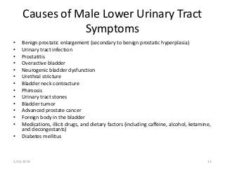 Causes of Male Lower Urinary Tract
Symptoms
• Benign prostatic enlargement (secondary to benign prostatic hyperplasia)
• Urinary tract infection
• Prostatitis
• Overactive bladder
• Neurogenic bladder dysfunction
• Urethral stricture
• Bladder neck contracture
• Phimosis
• Urinary tract stones
• Bladder tumor
• Advanced prostate cancer
• Foreign body in the bladder
• Medications, illicit drugs, and dietary factors (including caffeine, alcohol, ketamine,
and decongestants)
• Diabetes mellitus
2/25/2018 13
 