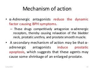 Mechanism of action
• α-Adrenergic antagonists reduce the dynamic
factor causing BPH symptoms.
– These drugs competitively antagonize α-adrenergic
receptors, thereby causing relaxation of the bladder
neck, prostatic urethra, and prostate smooth muscle.
• A secondary mechanism of action may be that α-
adrenergic antagonists induce prostatic
apoptosis, which suggests that these agents may
cause some shrinkage of an enlarged prostate.
2/25/2018 47
 