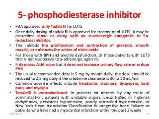 5- phosphodiesterase inhibitor
• FDA approved only Tadalafil for LUTS
• Once daily dosing of tadalafil is approved for treatment of LUTS. It may be
prescribed alone or along with an α-adrenergic antagonist or 5α-
reductase inhibitor.
• This inhibits the proliferation and contraction of prostatic smooth
muscle, or enhances the action of nitric oxide.
• For those with BPH and erectile dysfunction, or those patients with LUTS
that is not responsive to α-adrenergic agonists.
• It decrease AUA score but it does not increase urinary flow rate or reduce
PVR
• The usual recommended dose is 5 mg by mouth daily; the dose should be
reduced to 2.5 mg daily if the creatinine clearance is 30 to 50 mL/min
• Common adverse effects include headache, dizziness, dyspepsia, back
pain, and myalgia
• Tadalafil is contraindicated in patients on nitrates by any route of
administration; patients with unstable angina, uncontrolled or high-risk
arrhythmias, persistent hypotension, poorly controlled hypertension, or
New York Heart Association Classification IV congestive heart failure; or
patients who have had a myocardial infarction within the past 2 weeks
2/25/2018 59
 