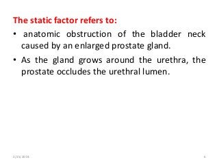 The static factor refers to:
• anatomic obstruction of the bladder neck
caused by an enlarged prostate gland.
• As the gland grows around the urethra, the
prostate occludes the urethral lumen.
2/25/2018 6
 