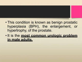 • This condition is known as benign prostatic
hyperplasia (BPH), the enlargement, or
hypertrophy, of the prostate.
• It is the most common urologic problem
in male adults.
 