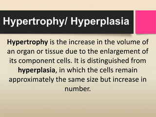 Hypertrophy/ Hyperplasia
Hypertrophy is the increase in the volume of
an organ or tissue due to the enlargement of
its component cells. It is distinguished from
hyperplasia, in which the cells remain
approximately the same size but increase in
number.
 