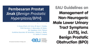 Pembesaran Prostat
Jinak (Benign Prostatic
Hyperplasia/BPH)
 