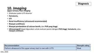 10. Imaging
Upper Urinary Tract Imaging
• Dilakukan pada LUTS disertai
• Hematuria,
• UTI
• Renal insufficiency (ultrasound recommended)
• Riwayat urolithiasis
• Riwayat pembedahan di saluran kemih, dan PVR yang tinggi.
• Ultrasonografi dapat digunakan untuk evaluasi pasien dengan PVR tinggi, hematuria, atau
riwayat urolitiasis.
Diagnosis
EAU, 2020
 
