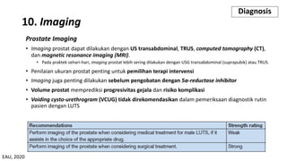 Prostate Imaging
• Imaging prostat dapat dilakukan dengan US transabdominal, TRUS, computed tomography (CT),
dan magnetic resonance imaging (MRI).
• Pada praktek sehari-hari, imaging prostat lebih sering dilakukan dengan USG transabdominal (suprapubik) atau TRUS.
• Penilaian ukuran prostat penting untuk pemilihan terapi intervensi
• Imaging juga penting dilakukan sebelum pengobatan dengan 5α-reductase inhibitor
• Volume prostat memprediksi progresivitas gejala dan risiko komplikasi
• Voiding cysto-urethrogram (VCUG) tidak direkomendasikan dalam pemeriksaan diagnostik rutin
pasien dengan LUTS
10. Imaging
Diagnosis
EAU, 2020
 