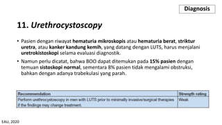 • Pasien dengan riwayat hematuria mikroskopis atau hematuria berat, striktur
uretra, atau kanker kandung kemih, yang datang dengan LUTS, harus menjalani
uretrokistoskopi selama evaluasi diagnostik.
• Namun perlu dicatat, bahwa BOO dapat ditemukan pada 15% pasien dengan
temuan sistoskopi normal, sementara 8% pasien tidak mengalami obstruksi,
bahkan dengan adanya trabekulasi yang parah.
11. Urethrocystoscopy
Diagnosis
EAU, 2020
 
