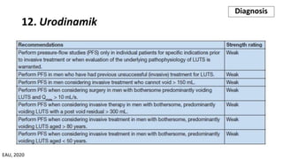12. Urodinamik
Diagnosis
EAU, 2020
 