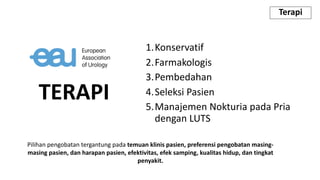 TERAPI
1.Konservatif
2.Farmakologis
3.Pembedahan
4.Seleksi Pasien
5.Manajemen Nokturia pada Pria
dengan LUTS
Terapi
Pilihan pengobatan tergantung pada temuan klinis pasien, preferensi pengobatan masing-
masing pasien, dan harapan pasien, efektivitas, efek samping, kualitas hidup, dan tingkat
penyakit.
 