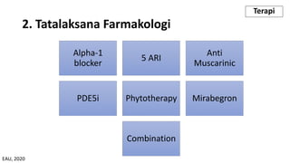2. Tatalaksana Farmakologi
Alpha-1
blocker
5 ARI
Anti
Muscarinic
PDE5i Phytotherapy Mirabegron
Combination
Terapi
EAU, 2020
 