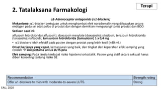 2. Tatalaksana Farmakologi
α1-Adrenoceptor antagonists (α1-blockers)
Mekanisme: α1-blocker bertujuan untuk menghambat efek noradrenalin yang dilepaskan secara
endogen pada sel otot polos di prostat dan dengan demikian mengurangi tonus prostat dan BOO
Sediaan saat ini:
alfuzosin hidroklorida (alfuzosin); doxazosin mesylate (doxazosin); silodosin; terazosin hidroklorida
(terazosin); naftopidil, tamsulosin hidroklorida (tamsulosin) 1 x 0,4 mg
• α1 blockers lebih efektif pada pasien dengan prostat yang lebih kecil (<40 mL)
Onset kerjanya yang cepat, kemanjuran yang baik, dan tingkat dan keparahan efek samping yang
rendah à Lini pertama untuk LUTS pria
Efek samping: Pada lansia terdapat risiko hipotensi ortostatik. Pasien yang aktif secara seksual harus
diberi konseling tentang risiko DE
Terapi
EAU, 2020
 
