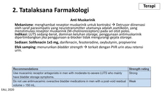 Anti Muskarinik
Mekanisme: menghambat reseptor muskarinik untuk kontraksi à Detrusor diinervasi
oleh saraf parasimpatis yang neurotransmitter utamanya adalah asetilkolin, yang
menstimulasi reseptor muskarinik (M-cholinoreceptors) pada sel otot polos.
Indikasi: LUTS sedang-berat, dominan keluhan storage, penggunaan antimuskarinik
dipertimbangkan jika penggunaan α-blocker tidak mengurangi gejala storage.
Sediaan: Solifenacin 1x5 mg, darifenacin, fesoterodine, oxybutynin, propiverine
Efek samping: menurunkan bladder strength à terkait dengan PVR urin atau retensi
urin.
2. Tatalaksana Farmakologi
Terapi
EAU, 2020
 
